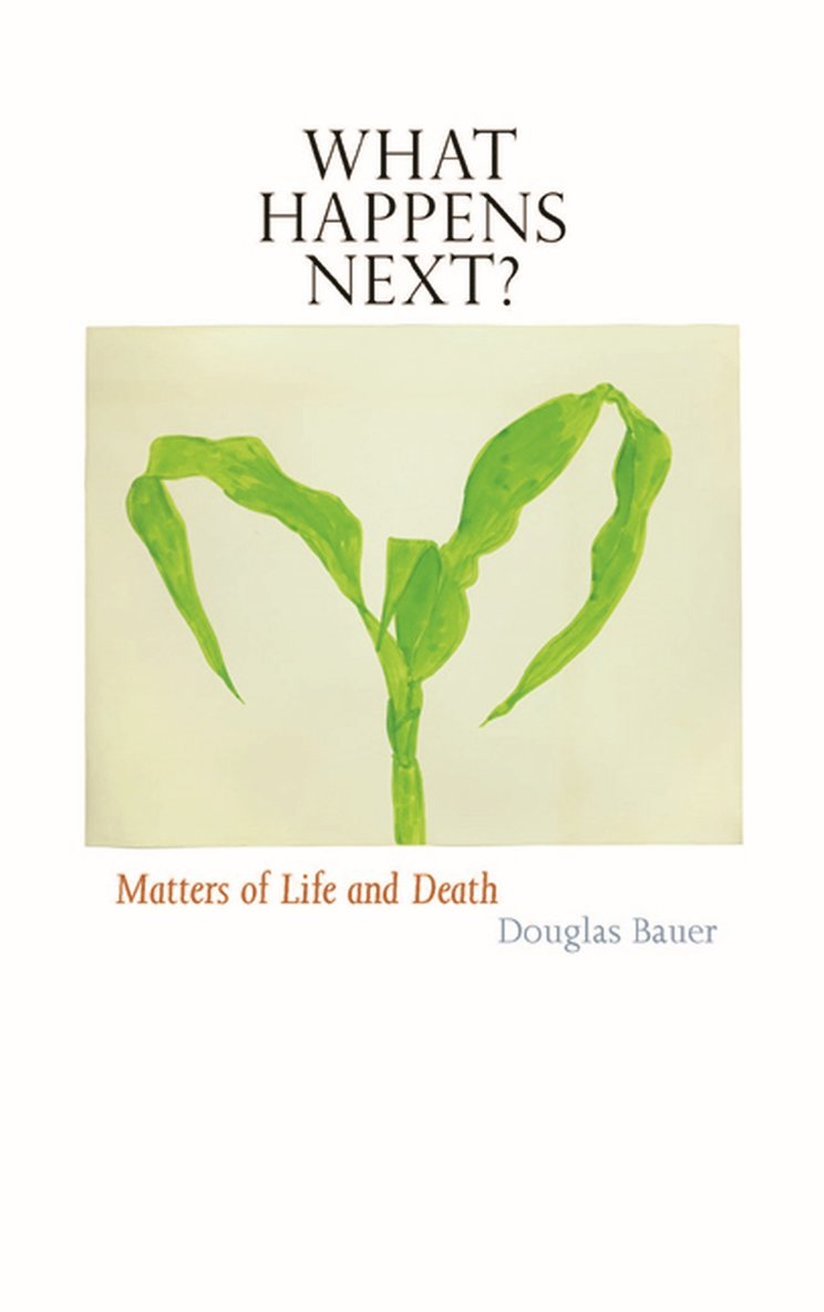 Douglas Bauer - What Happens Next?, Häftad. Tillgänglighet: Tillfälligt slut