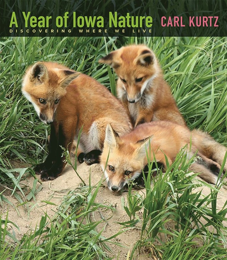 Carl Kurtz - Year of Iowa Nature, Häftad. Tillgänglighet: Tillfälligt slut