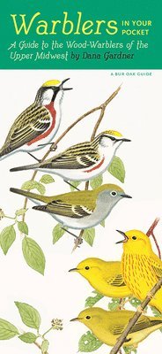 Dana Gardner - Warblers in Your Pocket. Tillgänglighet: Tillfälligt slut