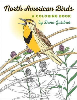 Dana Gardner - North American Birds, Häftad. Tillgänglighet: Tillfälligt slut