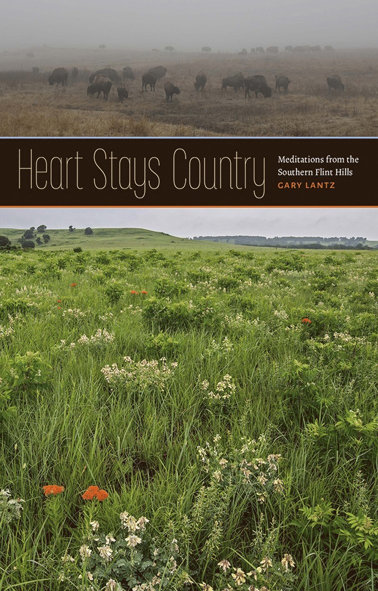 Gary Lantz - Heart Stays Country, Häftad. Tillgänglighet: Tillfälligt slut