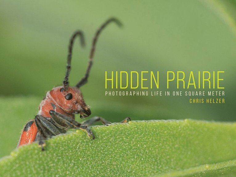 Chris Helzer - Hidden Prairie, Häftad. Tillgänglighet: Tillfälligt slut