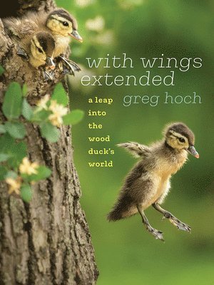Greg Hoch - With Wings Extended, Häftad. Tillgänglighet: Tillfälligt slut