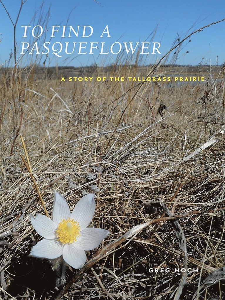 Greg Hoch - To Find a Pasqueflower, Häftad. Tillgänglighet: Tillfälligt slut