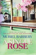 A Single Rose