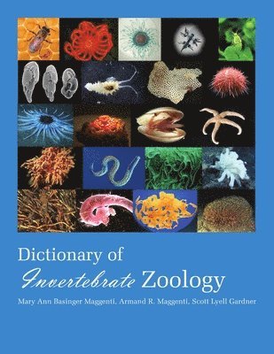 Maggenti Mary Ann, Maggenti Armand, Gardner Scott - Dictionary of Invertebrate Zoology --Paperback, Häftad