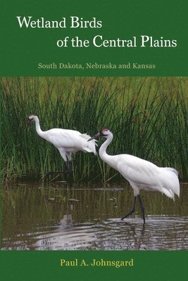 Paul Johnsgard - Wetland Birds of the Central Plains, Häftad