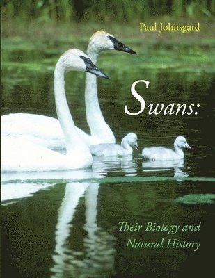 Paul Johnsgard - Swans, Häftad