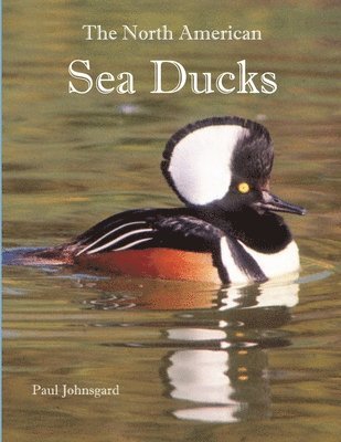 Paul Johnsgard - North American Sea Ducks, Häftad