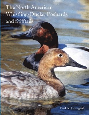 Paul Johnsgard - North American Whistling-Ducks, Pochards, and Stifftails, Häftad. Tillgänglighet: Lägg i varukorg