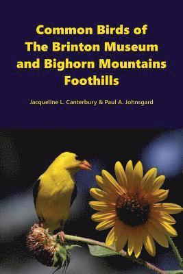 Paul Johnsgard, Jacqueline Canterbury - Common Birds of The Brinton Museum and Bighorn Mountains Foothills, Häftad. Tillgänglighet: Lägg i varukorg