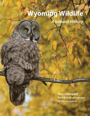 Paul Johnsgard, Tom Mangelsen - Wyoming Wildlife, Häftad. Tillgänglighet: Lägg i varukorg