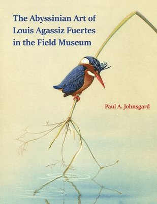 Paul Johnsgard - Abyssinian Art of Louis Agassiz Fuertes in the Field Museum, Häftad. Tillgänglighet: Lägg i varukorg