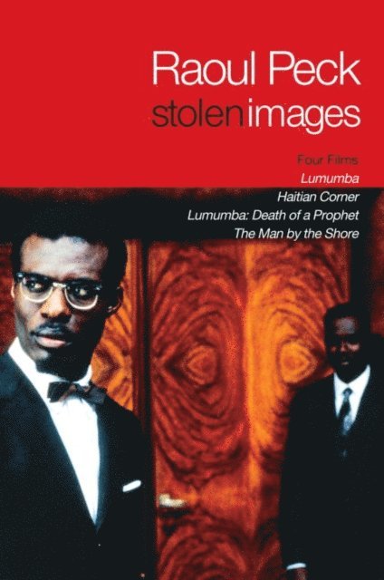 Raoul Peck - Stolen Images, E-bok