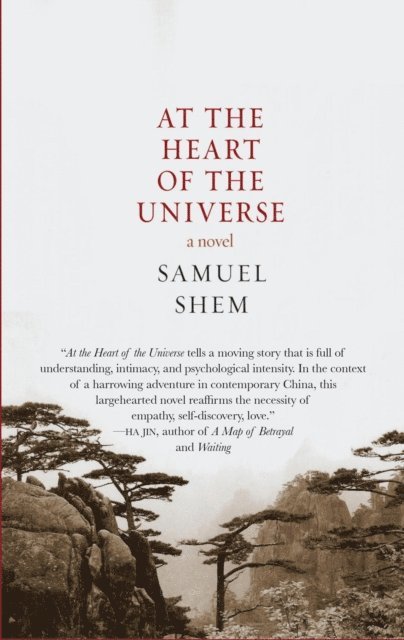 Samuel Shem - At the Heart of the Universe, E-bok