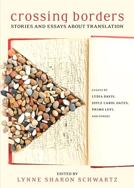 Lynne Sharon Schwartz - Crossing Borders, E-bok