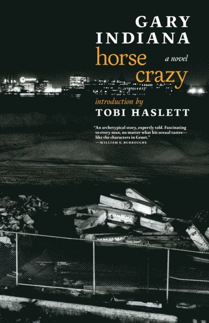 Gary Indiana - Horse Crazy, E-bok