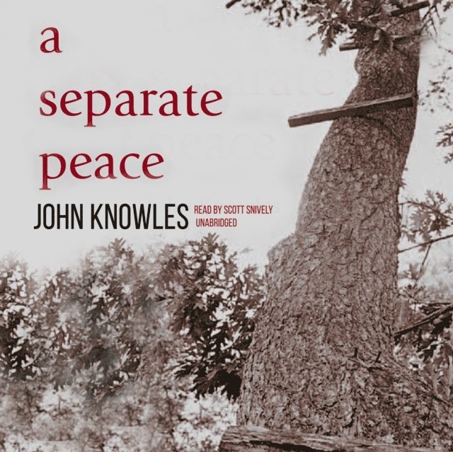 John Knowles - Separate Peace, Ljudbok