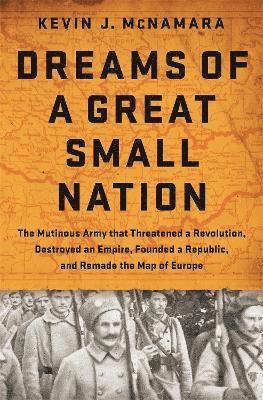 Kevin J McNamara - Dreams of a Great Small Nation, Inbunden. Tillgänglighet: Lägg i varukorg