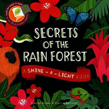 Carron Brown - Secrets of the Rain Forest, Inbunden