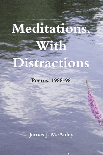 James McAuley - Meditations, With Distractions, E-bok