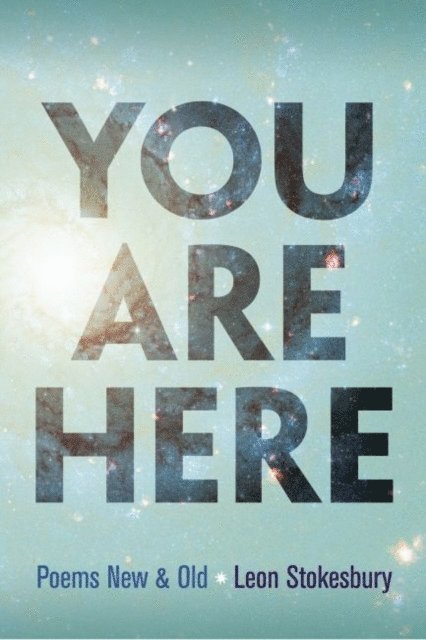 Leon Stokesbury - You Are Here, E-bok