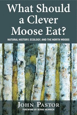 John Pastor - What Should a Clever Moose Eat?, Häftad