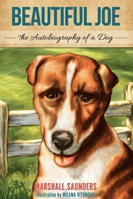Marshall Saunders - Beautiful Joe, Häftad