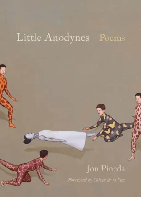 Jon Pineda - Little Anodynes, E-bok. Tillgänglighet: Lägg i varukorg