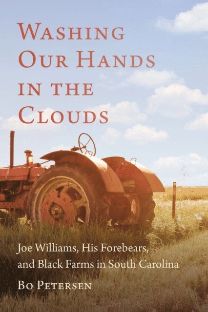 Bo Petersen - Washing Our Hands in the Clouds, E-bok