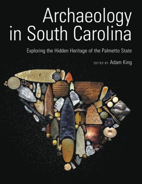 Adam King - Archaeology in South Carolina, E-bok