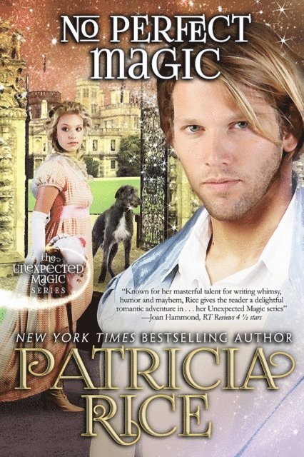Patricia Rice - No Perfect Magic, E-bok