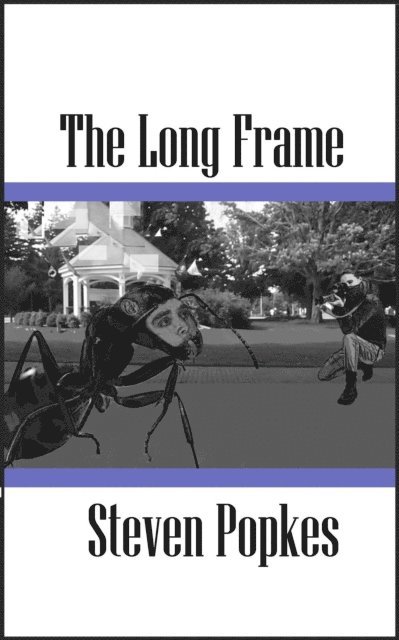 Steven Popkes - Long Frame, E-bok