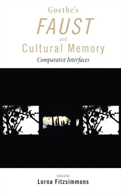 Lorna Fitzsimmons - Goethe's Faust and Cultural Memory, E-bok