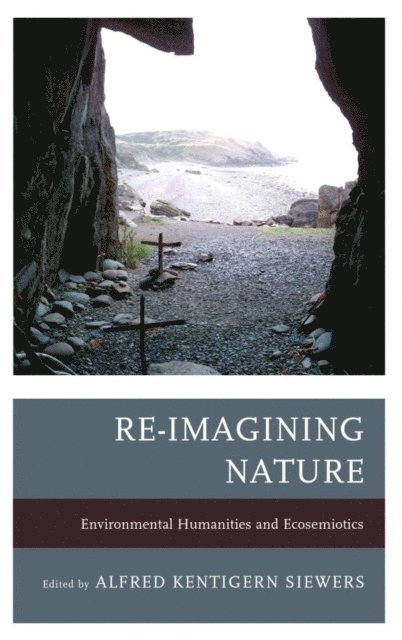 Alfred Kentigern Siewers - Re-Imagining Nature, E-bok