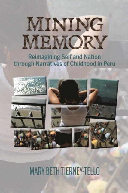 Mary Beth Tierney-Tello - Mining Memory, E-bok