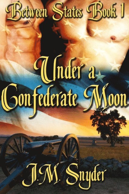 J.M. Snyder - Under a Confederate Moon, E-bok