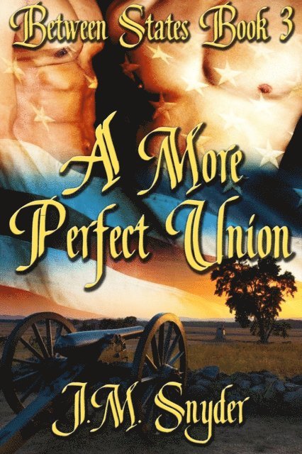 J.M. Snyder - More Perfect Union, E-bok