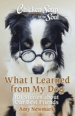 Amy Newmark - Chicken Soup for the Soul: What I Learned from My Dog, Häftad