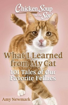 Amy Newmark - Chicken Soup for the Soul: What I Learned from My Cat, Häftad