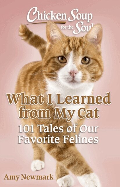 Amy Newmark - Chicken Soup for the Soul: What I Learned from My Cat, E-bok