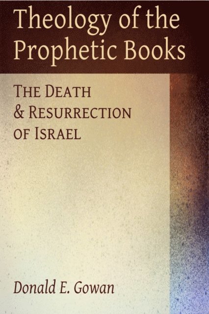 Donald E. Gowan - Theology of the Prophetic Books, E-bok