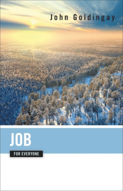 John Goldingay - Job for Everyone, E-bok