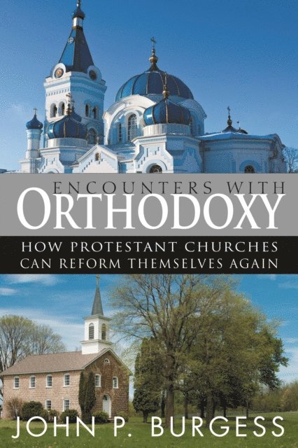 John P. Burgess - Encounters with Orthodoxy, E-bok