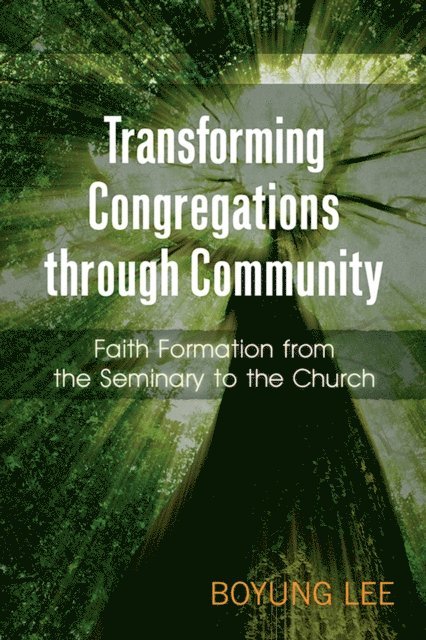 Boyung Lee - Transforming Congregations through Community, E-bok