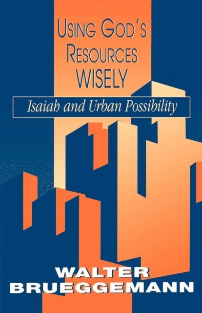 Walter Brueggemann - Using God's Resources Wisely, E-bok