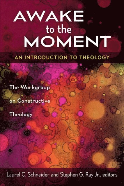 Stephen G. Jr. Ray, Laurel C. Schneider - Awake to the Moment, E-bok