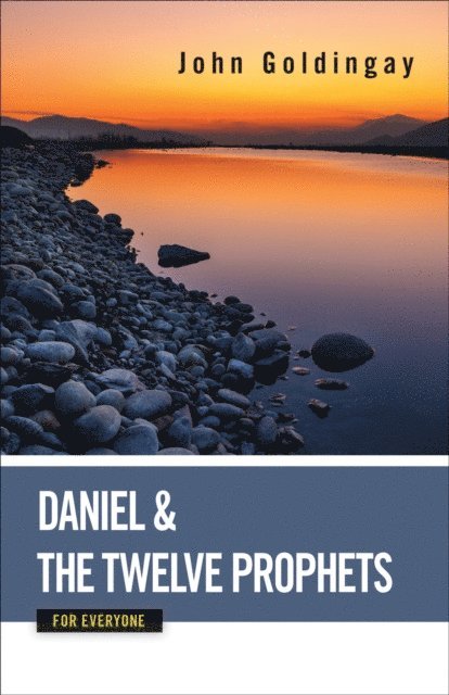 John Goldingay - Daniel and the Twelve Prophets for Everyone, E-bok