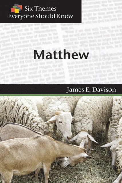 Eva Stimson, James E. Davison - Six Themes in Matthew Everyone Should Know, E-bok