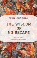 Wisdom of No Escape